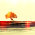 Single tree in red tones on ancient stained paper Royalty Free Stock Photo