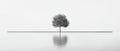 A single tree reflected in still water, creating a minimalist and serene landscape Royalty Free Stock Photo