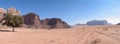 Single tree and road wadi rum