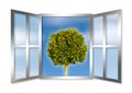 A single tree seen through an open window Royalty Free Stock Photo