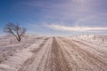 Single tree on the side of gravel road in the winter on the prairies Royalty Free Stock Photo