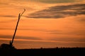 Single tree snag sunset silhouette