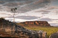 Single tree standing at Nourlangie badlands in Kakadu National P