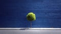A single tree stands against a teal wall, accompanied by a landscaped border, within a city setting Royalty Free Stock Photo