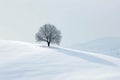 A single tree stands tall amidst a vast snowy field, creating a stark contrast and a captivating winter scene, A lone tree on a Royalty Free Stock Photo
