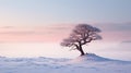 Lonely Cypress In Snow Ethereal Seascapes In Light Cyan And Pink