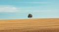 A Single Tree Stands Tall in a Vast Field of Golden Wheat Royalty Free Stock Photo