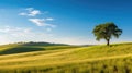 Single Tree In A Vast Field. Generative AI Royalty Free Stock Photo