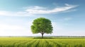 A Single Tree in a Vast Open Field Landscape Background AI Generative Royalty Free Stock Photo