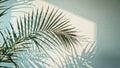 Palm Leaf on Pastel Wall Royalty Free Stock Photo