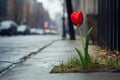 A single tulip growing in a small patch of grass beside a city Royalty Free Stock Photo