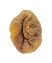 Single Turkish Dried Fig Royalty Free Stock Photo