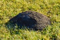 Single molehill on green feeld Royalty Free Stock Photo