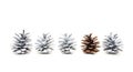 Single unpainted fir cone within several white painted cones