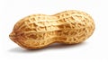 Single Unpeeled Peanut with Textured Shell on White Background groundnut legume Royalty Free Stock Photo