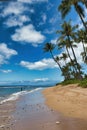 Single unrecognizable person on Ka`anapali beach during covid-19. Royalty Free Stock Photo