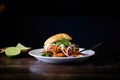 single vada pav, spotlighted, dark moody background