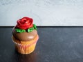 Single vanilla cupcake with chocolate frosting decorated with a red rose and green leaves against a black slate and gray shiplap Royalty Free Stock Photo