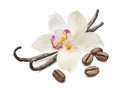 Single vanilla flower and roasted coffee beans isolated on white background Royalty Free Stock Photo