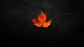 A single, vibrant orange maple leaf rests on a dark, textured surface. Royalty Free Stock Photo