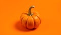 Vibrant Orange Pumpkin on a Monochromatic Background Royalty Free Stock Photo