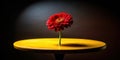 A single, vibrant red gerbera daisy, elegantly positioned through a small hole in a round, golden table, illuminated by a dramatic Royalty Free Stock Photo