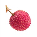 Single Ripe Lychee Fruit With Stem and Leaves Detailed Texture Isolated on White Background Studio Shot Royalty Free Stock Photo
