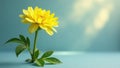 A single vibrant yellow flower, illuminated by soft sunlight, stands elegantly against a serene pastel blue backdrop. Generative Royalty Free Stock Photo