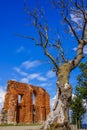 Single wall of ruined church taken by Baltic See, twisted tree, Trzesacz