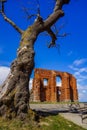 Single wall of ruined church taken by Baltic See, twisted tree, Trzesacz