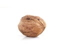 Single walnut