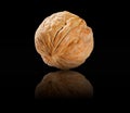 Single Walnut Isolated on Black Background with Reflection. Macro Detail Shot. Royalty Free Stock Photo