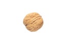 Single walnut is isolated on white background Royalty Free Stock Photo