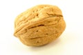 Single Walnut