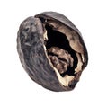 A single walnut revealed inside its cracked dark brown shell on a white background Royalty Free Stock Photo