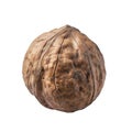 A Single Walnut Shell Isolated on a Black Background Royalty Free Stock Photo