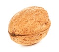 Single Walnut In A Shell Royalty Free Stock Photo