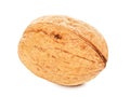 Single Walnut In A Shell Royalty Free Stock Photo