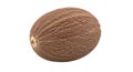 Single walnut shell isolated on white background isolated on white background Royalty Free Stock Photo