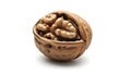 Walnut on White Background food healthy shell open brown isolate Royalty Free Stock Photo