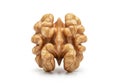 Single walnut on white background Royalty Free Stock Photo