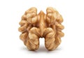 Single walnut on white background Royalty Free Stock Photo