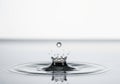 Single Water Drop Creating Ripple on Calm Surface Royalty Free Stock Photo
