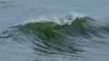 A single wave crests and breaks in the ocean water Royalty Free Stock Photo