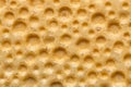 Single wheat crispbread macro shot Royalty Free Stock Photo