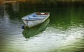 Single white and blue wooden rowboat floating at a buoy on vivid green water Royalty Free Stock Photo