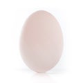 Single white duck egg isolated on a white background Royalty Free Stock Photo