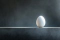 Single white egg balancing on a shelf in front of dark wall, representing fragility and precariousness Royalty Free Stock Photo