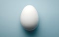 Single White Egg on Light Blue Background Good Resolution Stock Photo Royalty Free Stock Photo