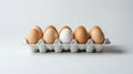 Single white egg surrounded by brown eggs in carton Royalty Free Stock Photo